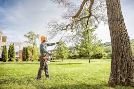 Best Tree Trimming and Pruning  in Oceanside, CA